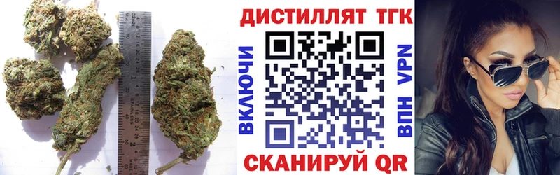 ТГК Wax  KRAKEN зеркало  Ревда 