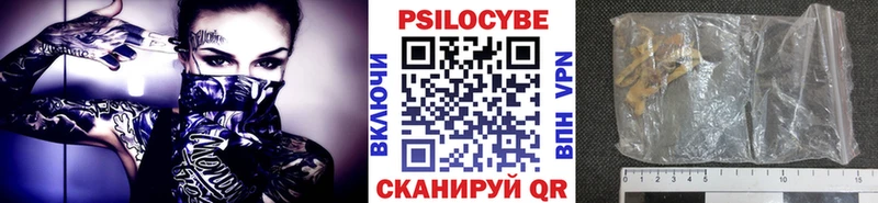 Псилоцибиновые грибы Psilocybe  где купить наркоту  Ревда 