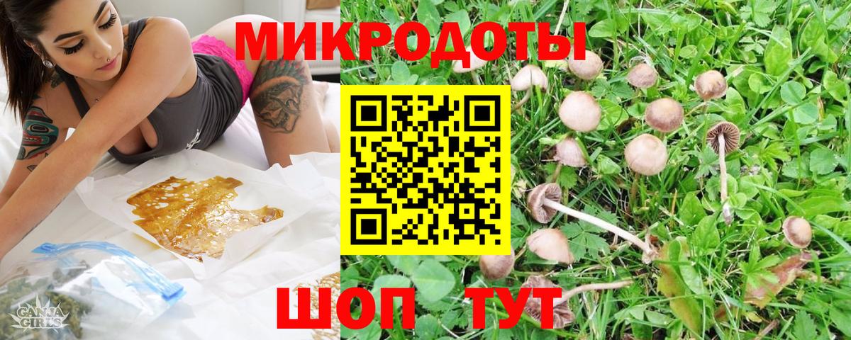 Ревда  Псилоцибиновые грибы прущие грибы  Галлюциногенные грибы GOLDEN TEACHER  закладка  Вход с VPN 